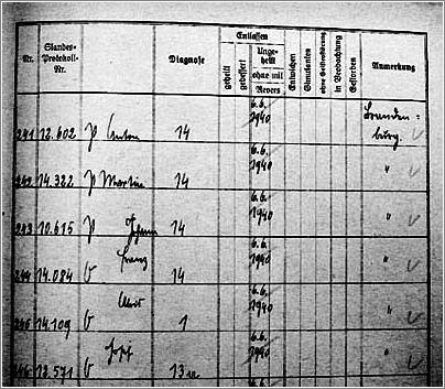 Patients log from Hartheim